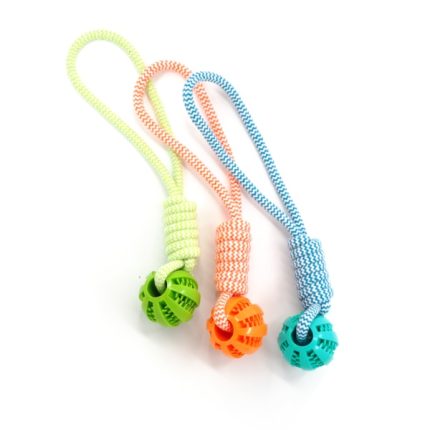 Pawona dentalna žogica na vrvi, 36 cm