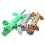 Pawona dentalna igrača iz Afrike