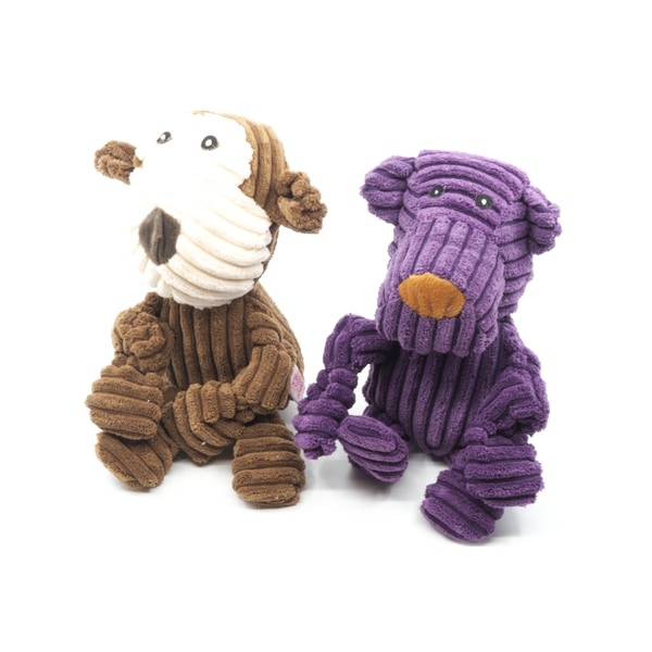 Pawona medvedek Rembrant