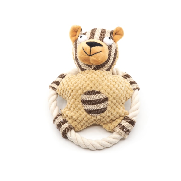 Pawona veveriček Calvin na obroču