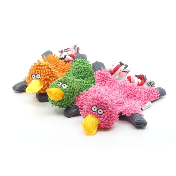 Pawona račka Cirila