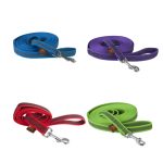 Firedog gumiran povodec 3m