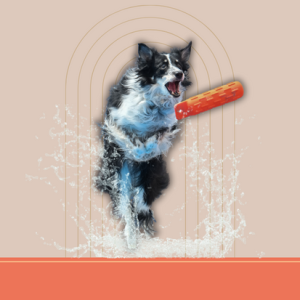 Vodne igrače za pse