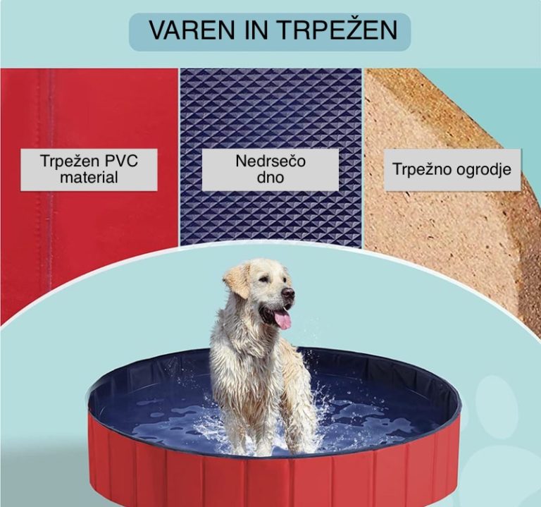Trpežen in varen bazen za pse