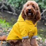 Pawona dežni plašč Yellowoof