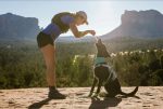 Ruffwear hladilni ovratnih na srednje velikem psu