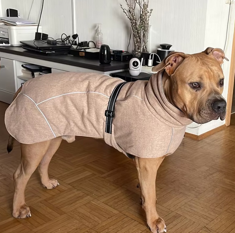 Pawona plašč za pse Diamond v bež barvi