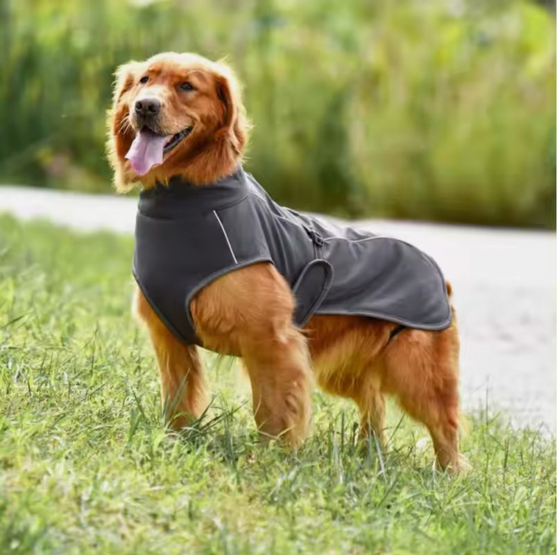 Pawona plasc za pse Dreamer Dark Grey