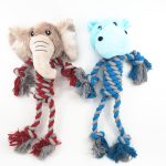 Pawona igrače iz Zanzibarja