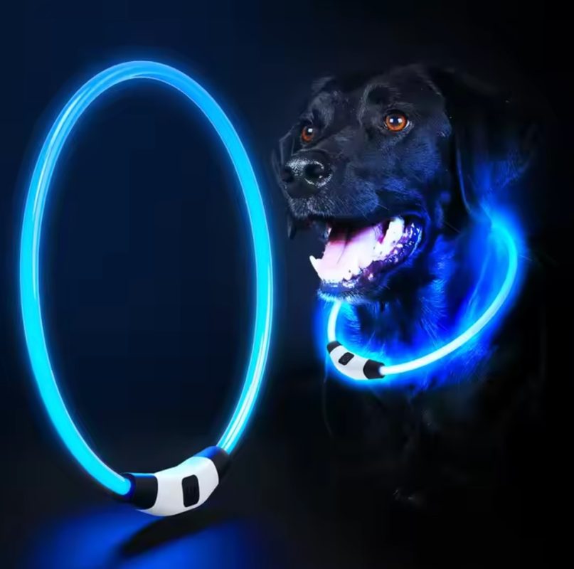 Pawona odsevni trak za pse Blue Brighty