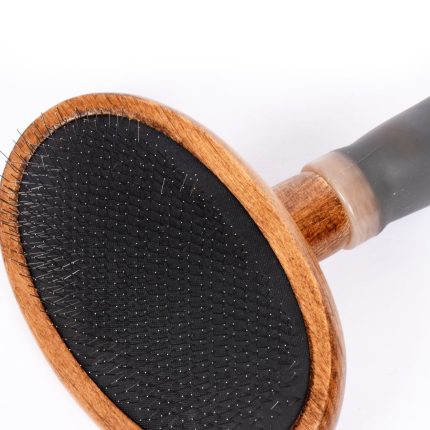 Pawona krtača na igle