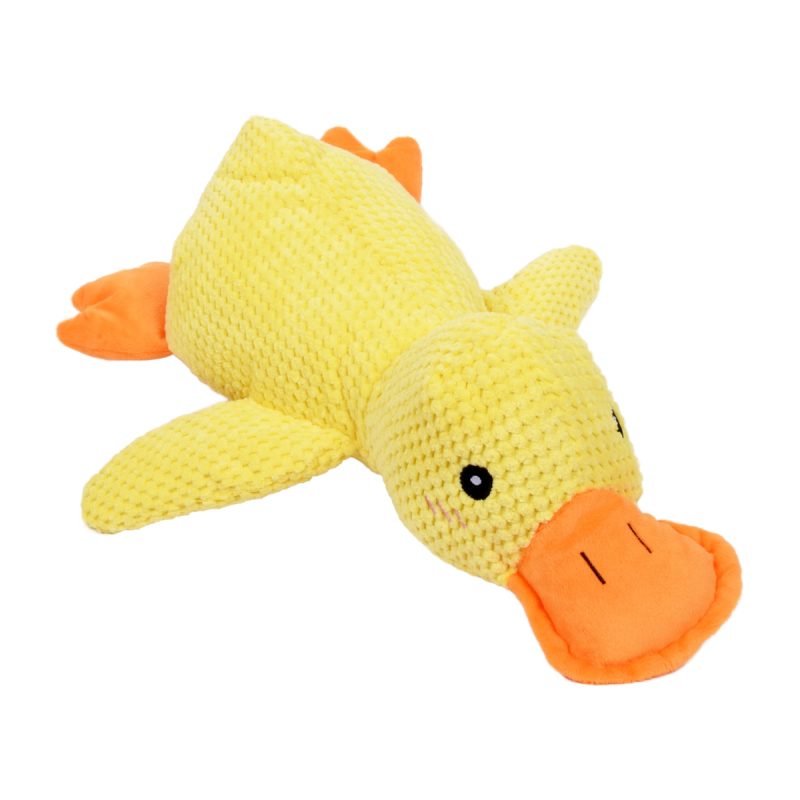 Pawona račka Slavica