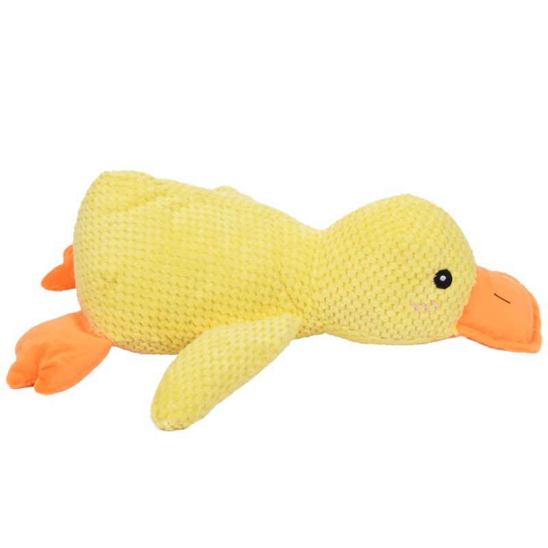 Pawona račka Slavica