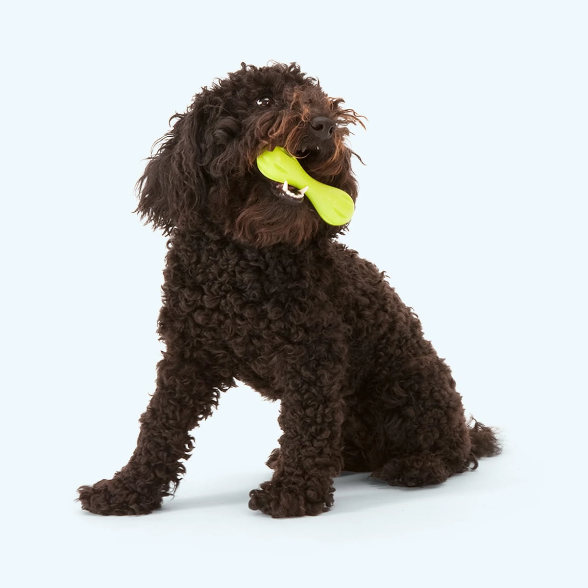 West Paw Hurley S - slika 2