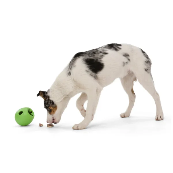 West Paw Rumbl S - slika 3